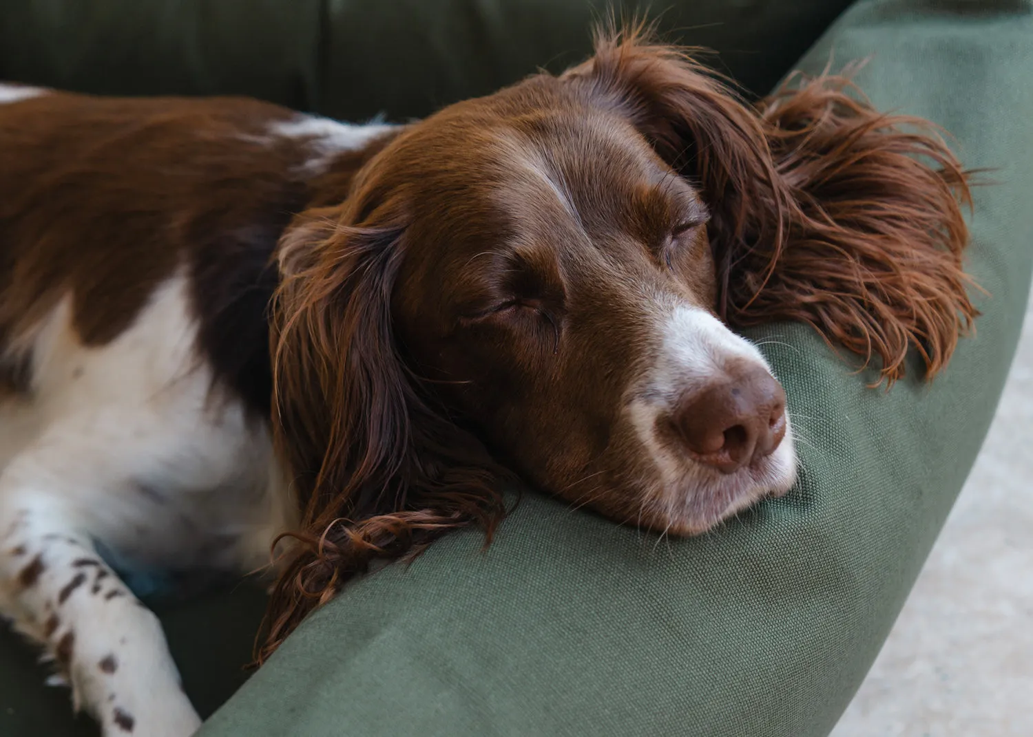 Burnham Bolster Dog Bed - Olive