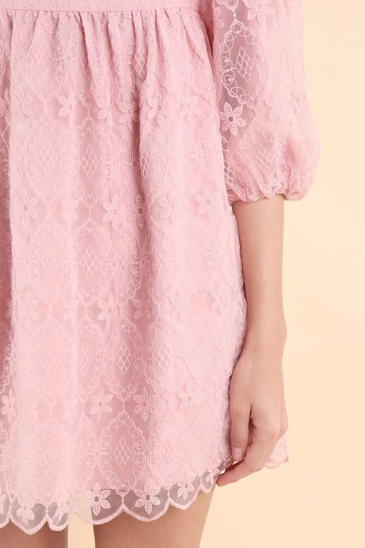 CAMELLIA LACE DRESS IN PINK