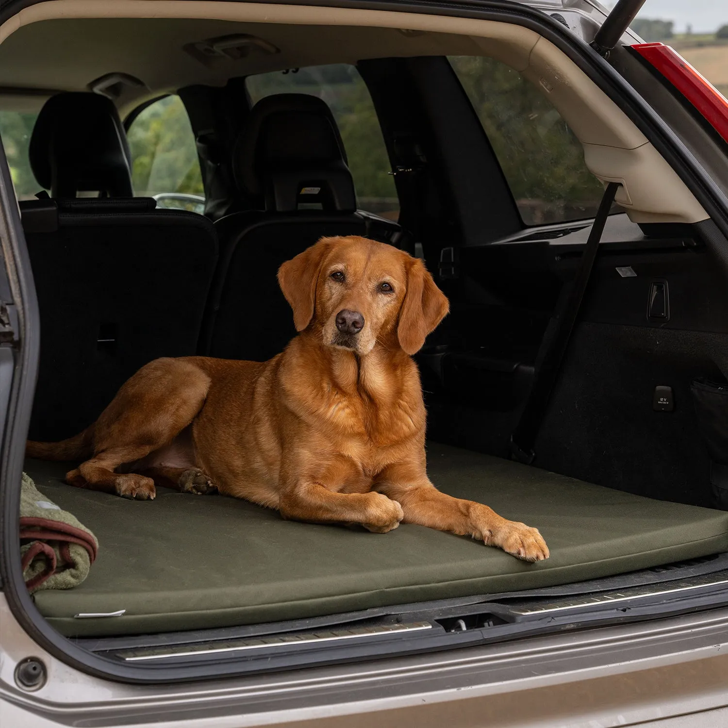 Crate Mat / Boot Bed - Olive