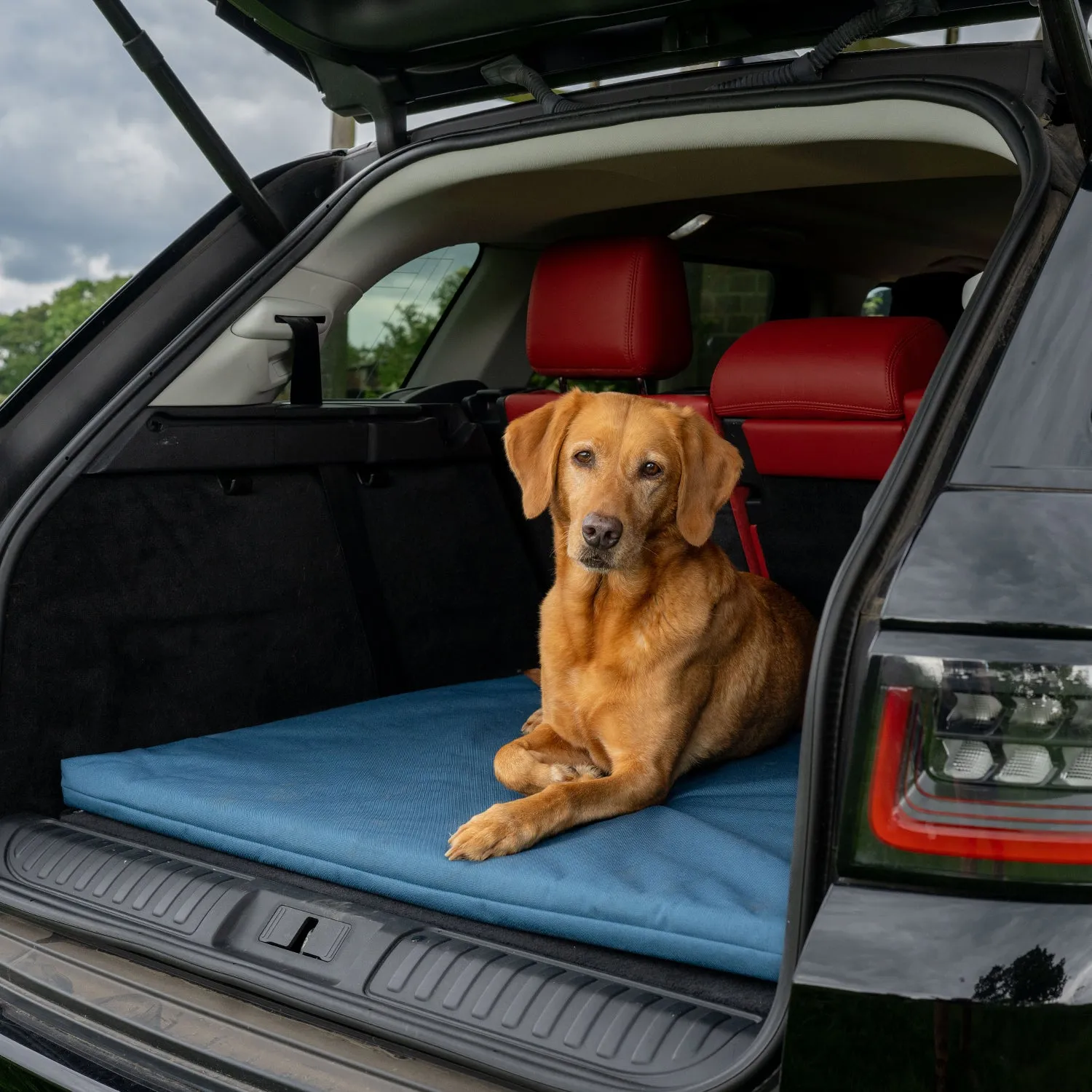 Crate Mat / Boot Bed - Teal