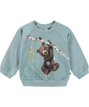 Disc Sweatshirt, Birch Tree Bear