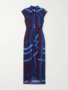 Inspiring Vistas printed silk-chiffon maxi dress