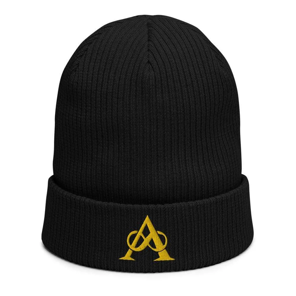 Kingdoms of Amalur Infinity A Beanie