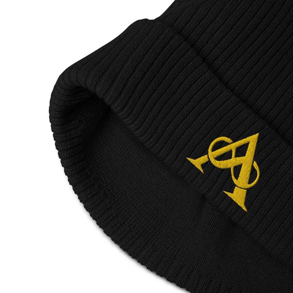 Kingdoms of Amalur Infinity A Beanie