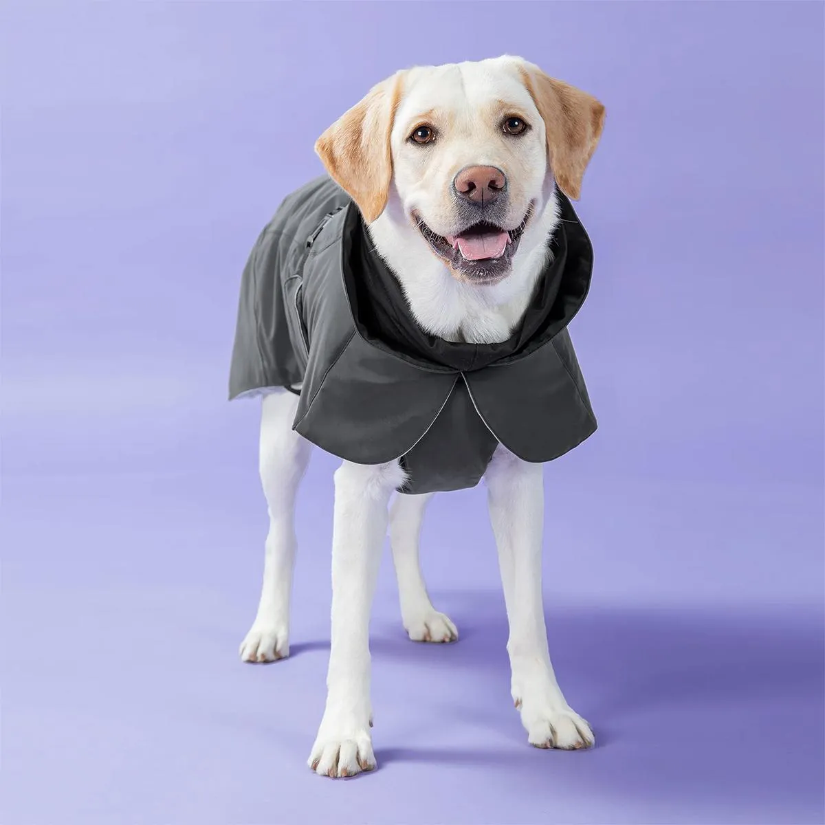 Visibility Winter Dog Jacket Dark