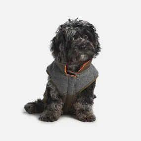 Waterproof Ripstop Dog Coat—Olive