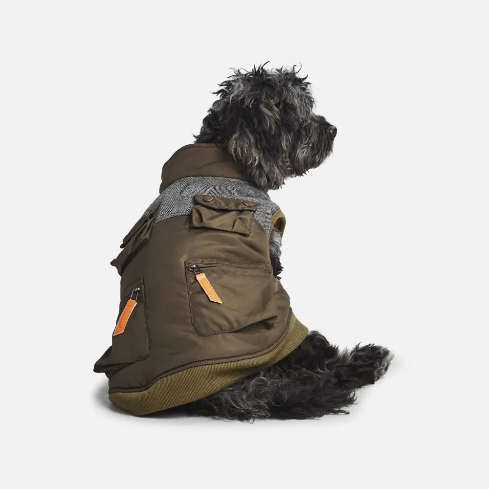 Waterproof Ripstop Dog Coat—Olive